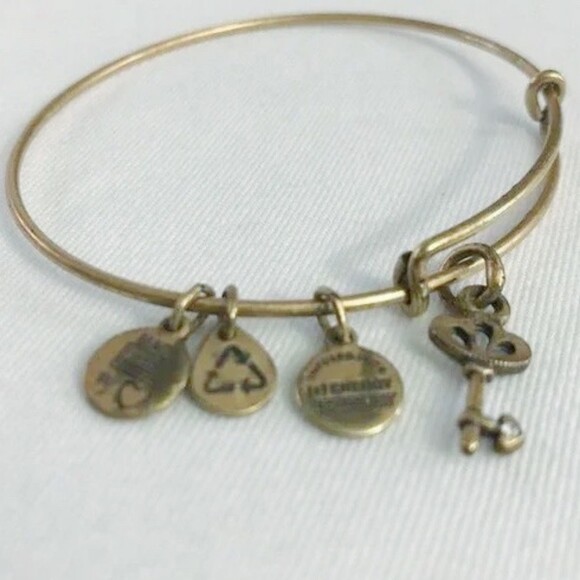 Alex & Ani Key Charm Bracelet Gold Tone - Picture 6 of 8